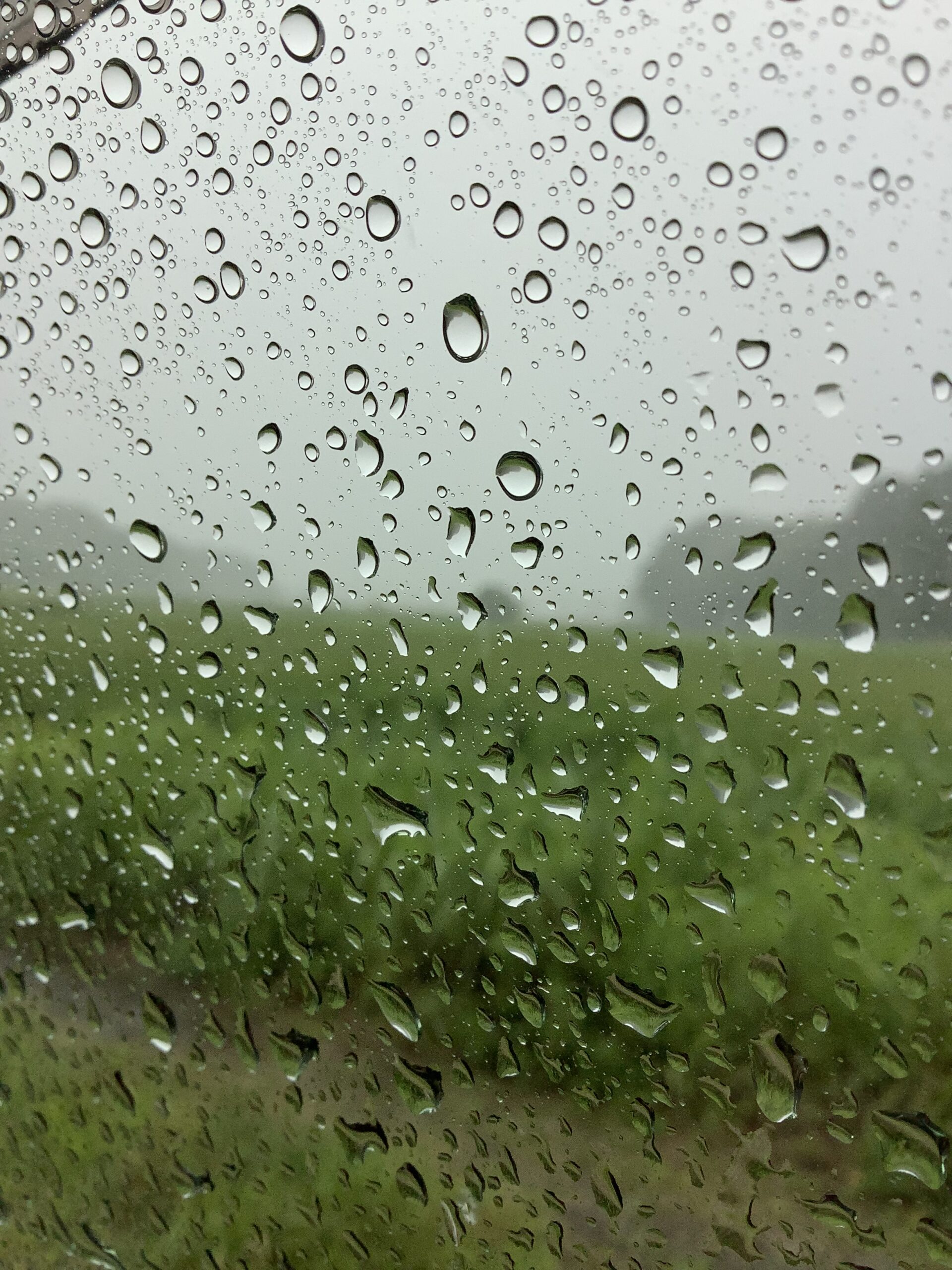 まだ梅雨なの？