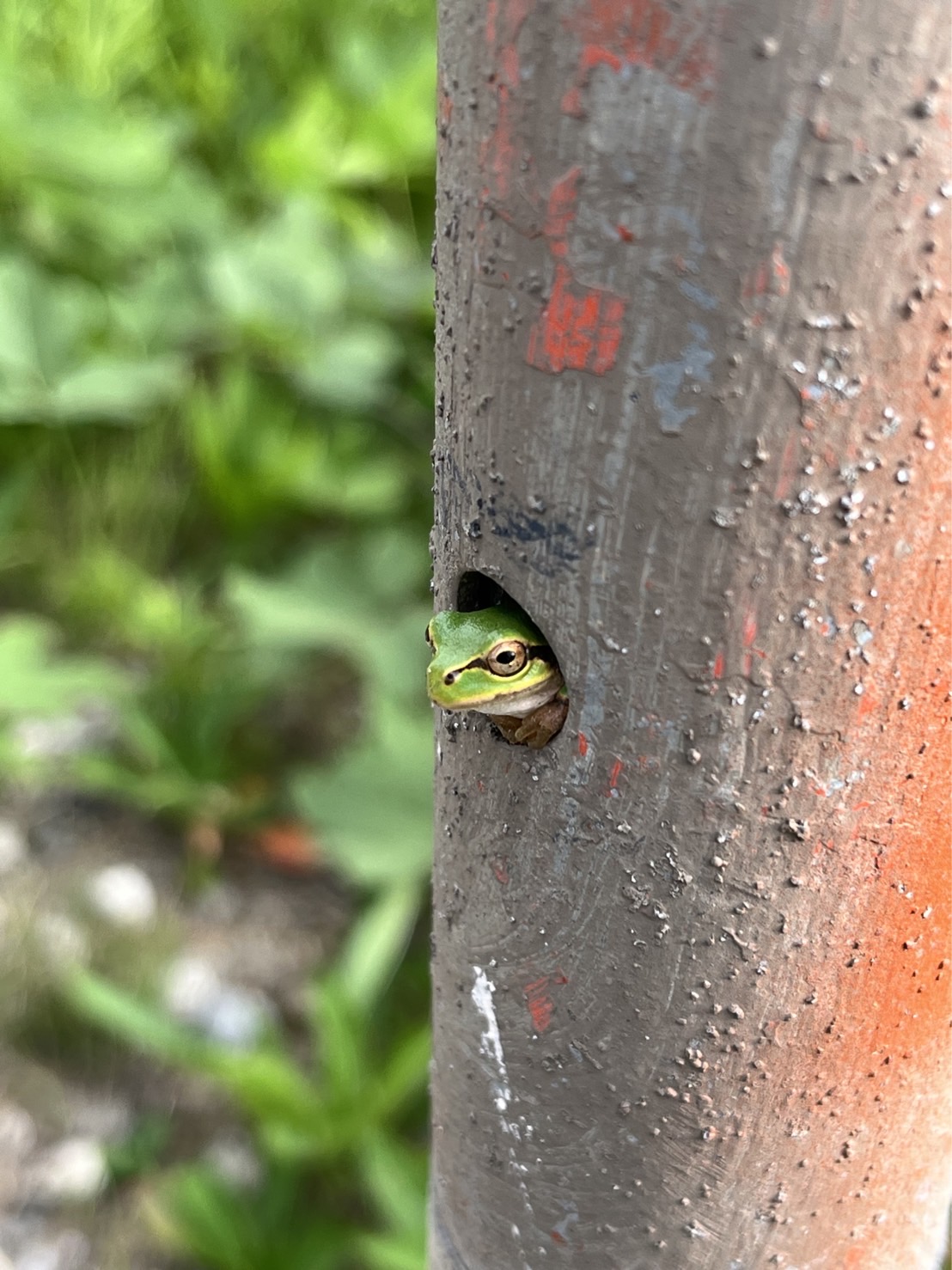 お留守番中